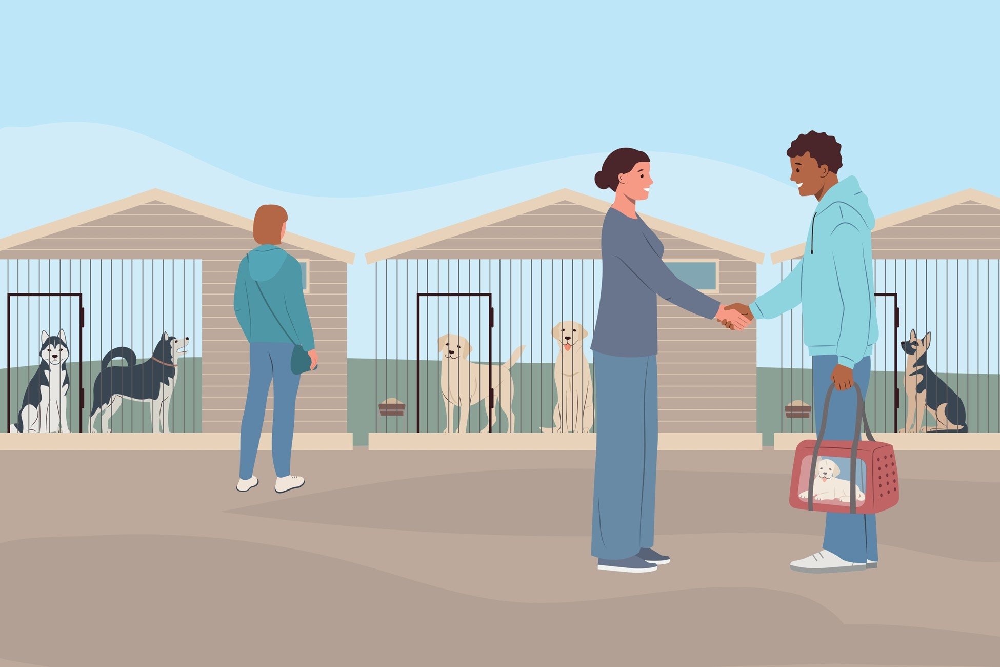 HMRC investigating tax obligations of those who breed and sell animals